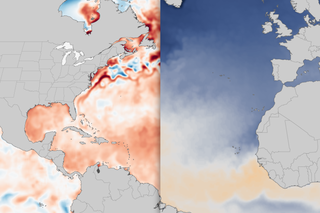 Map image for For more than a year, the North Atlantic has been running a fever