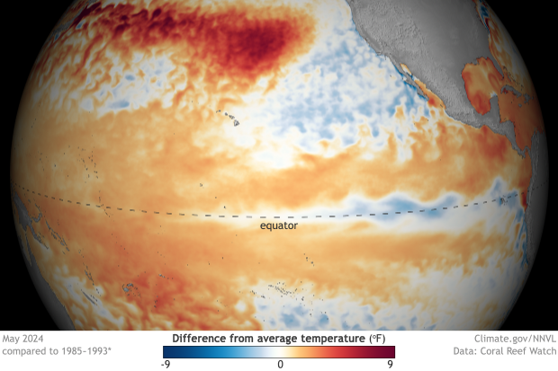 Spherical-style map of Pacific Ocean temperatures